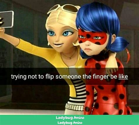 memes ladybug